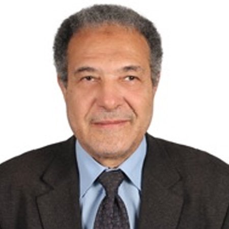 Prof. Ahmed G Hegazi