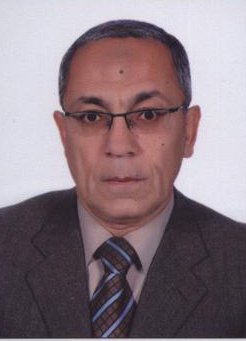 Prof. Baher Effat 